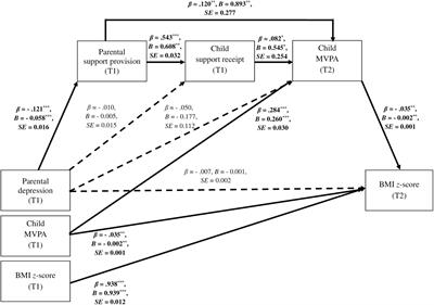 Frontiers Parental Depression Predicts Child Body Mass Via Parental Support Provision Child Support Receipt And Child Physical Activity Findings From Parent Caregiver Child Dyads Psychology