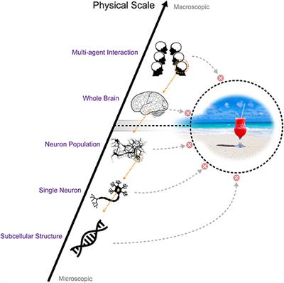 Information Closure Theory of Consciousness