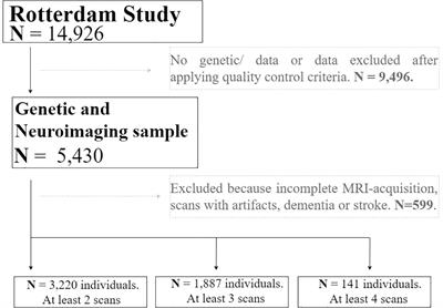endnote citation format genetics