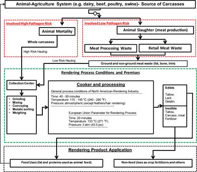 Frontiers | Improving Biosecurity Procedures to Minimize the Risk of Spreading Pathogenic Infections Agents After Carcass Recycling Frontiers | Improving Biosecurity Procedures to Minimize the Risk of Spreading Pathogenic Infections Agents After Carcass Recycling