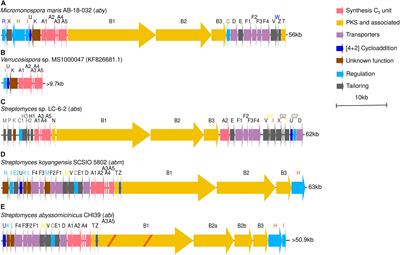 Frontiers Out Of The Abyss Genome And Metagenome Mining Reveals Unexpected Environmental Distribution Of Abyssomicins Microbiology