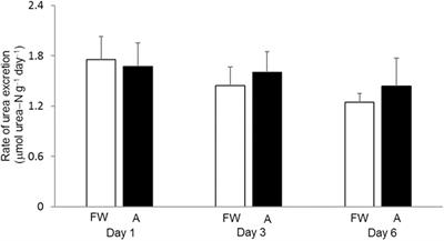 Frontiers The Non Ureogenic Stinging Catfish Heteropneustes Fossilis Actively Excretes Ammonia With The Help Of Na K Atpase When Exposed To Environmental Ammonia Physiology