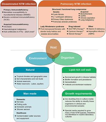 Frontiers  The Rise of Non-Tuberculosis Mycobacterial Lung Disease