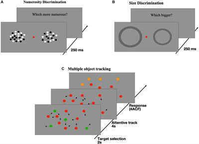 In the past few years, many studies have suggested that subjects with high sensory precision in the processing of non-symbolic numerical quantities (a