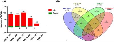 Frontiers Splenic protection network revealed by transcriptome
