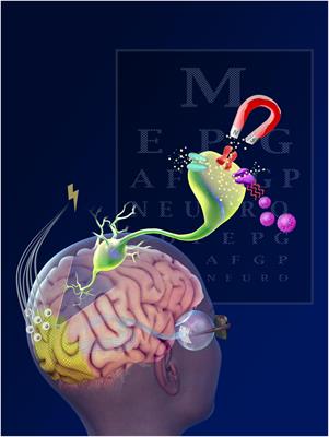 First human implantation of the WFMA for intracortical visual prosthesis -  Microprobes for Life Science