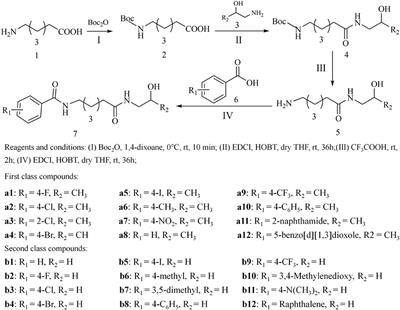 Frontiers Synthesis And Biological Evaluation Of Hdac Inhibitors With A Novel Zinc Binding Group Chemistry