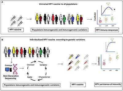 human papillomavirus and hpv vaccines a review