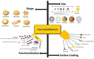 Frontiers - Gold, Silver, and Palladium Nanoparticles: A Chemical Tool ...