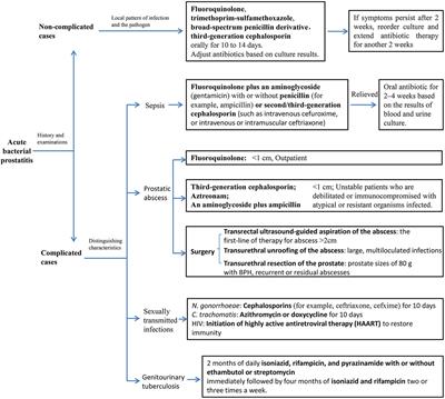 ceftriaxona prostatitis