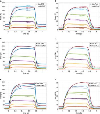 Frontiers | Exhaustion of Skeletal Muscle Fibers Within Seconds:  Incorporating Phosphate Kinetics Into a Hill-Type Model