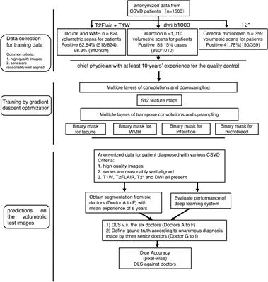 Frontiers  Fully Automatic Classification of Brain Atrophy on NCCT Images  in Cerebral Small Vessel Disease: A Pilot Study Using Deep Learning Models