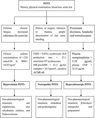 Frontiers  Update of Individualized Treatment Strategies for Postural  Orthostatic Tachycardia Syndrome in Children