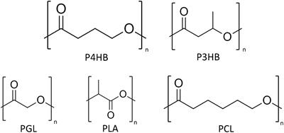 Frontiers Poly 4 Hydroxybutyrate Current State And Perspectives Bioengineering And Biotechnology Frontiers Poly 4 Hydroxybutyrate Current State And Perspectives Bioengineering And Biotechnology