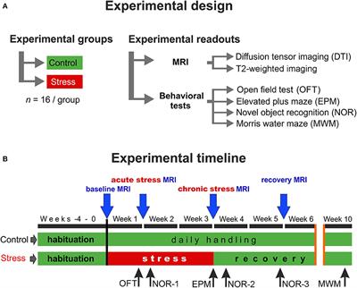 Community Series in Advanced PET, SPECT, MR and Optical Imaging in 