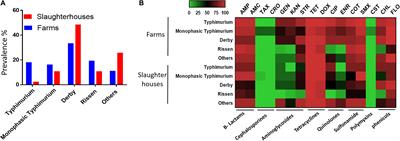 Frontiers  Genomic Characterization of mcr-1.1-Producing Escherichia coli  Recovered From Human Infections in São Paulo, Brazil