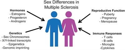 14yer Sexi Shoolgirl Video - Frontiers | SeXX Matters in Multiple Sclerosis