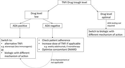 Frontiers What Is The Clinical Relevance Of Tnf Inhibitor