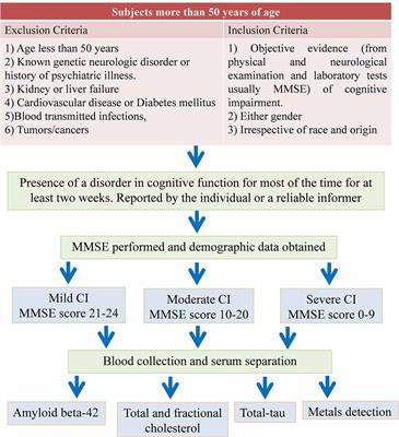 PDF) Blood Biomarkers of Alzheimer's Disease and Cognition: A Literature  Review.