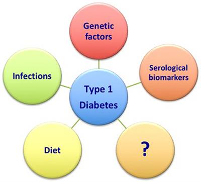 type 1 diabetes treatment and prevention