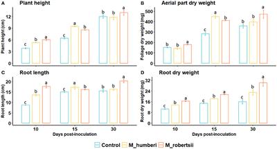 Frontiers Multi Trait Biochemical Features Of Metarhizium Species And Their Activities That Stimulate The Growth Of Tomato Plants Sustainable Food Systems