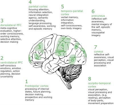 Lucid Dreaming Brain Network Based on Tholey’s 7 Klartraum Criteria