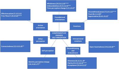 Understanding the nature of oneness experience in meditators using collective intelligence methods