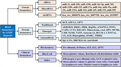 Frontiers New Blood Biomarkers For The Diagnosis Of Afp Negative Hepatocellular Carcinoma Oncology