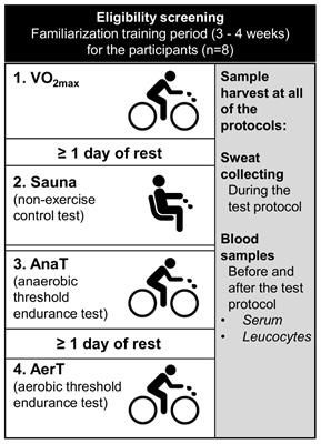 Stifte bekendtskab Ringlet værksted Frontiers | MicroRNAs in Extracellular Vesicles in Sweat Change in Response  to Endurance Exercise | Physiology