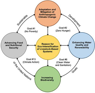 How To Start Agricultural, Forestry, And Animal Husbandry Farms In