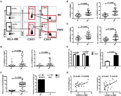 Polyamines from myeloid-derived suppressor cells promote Th17 polarization  and disease progression: Molecular Therapy