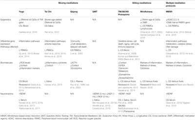 Molecules of Silence. Effects of meditation on gene expression and epigenetics