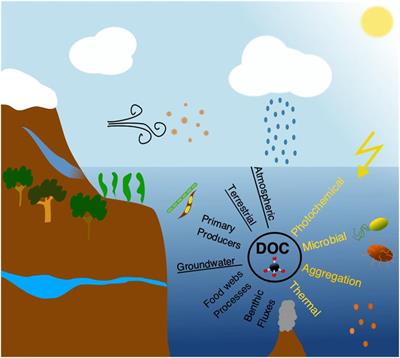 four major ocean zones