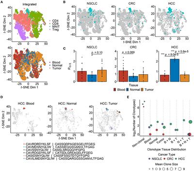 Frontiers Leveraging Public Single Cell And Bulk Transcriptomic Datasets To Delineate Mait Cell Roles And Phenotypic Characteristics In Human Malignancies Frontiers Leveraging Public Single Cell And Bulk Transcriptomic Datasets To Delineate Mait Cell Roles And Phenotypic Characteristics In Human Malignancies