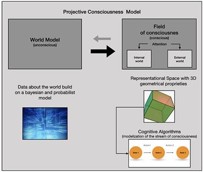 Consciousness, free energy and cognitive algorithms