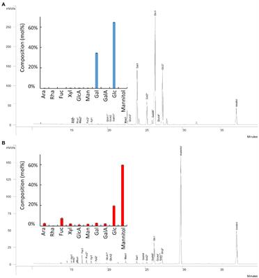 giày new balance 2016