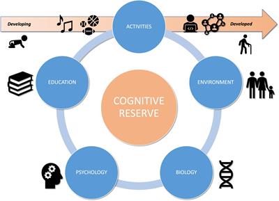 What is 'cognitive reserve'? How we can protect our brains from