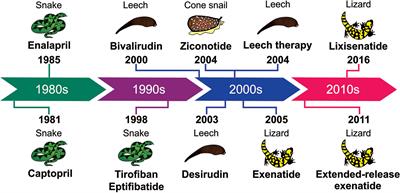 Comparative analysis of intestinal bacteria among venom secretion and  non-secrection snakes