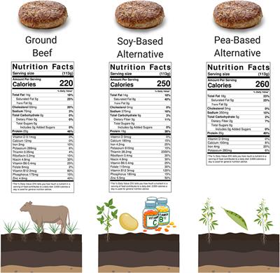 How sustainable are fake meats?, Health