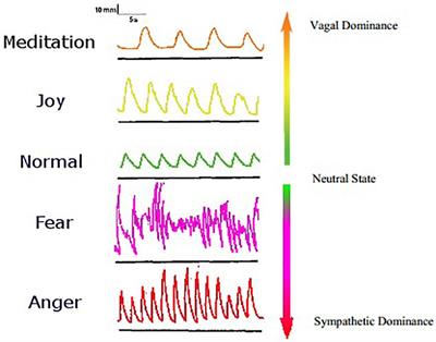 Frontiers Respiratory Rhythm Autonomic Modulation And The Spectrum Of Emotions The Future Of Emotion Recognition And Modulation