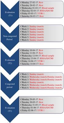 PDF) Psychophysiological Responses to Overloading and Tapering