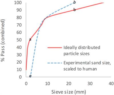 A New Understanding of the Mechanism of Injury to the Pelvis and Lower Limbs in Blast