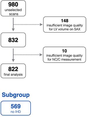 Frontiers Left Ventricular Hypertrabeculation Is Not Associated With Cardiovascular Morbity Or Mortality Insights From The Eurocmr Registry Cardiovascular Medicine
