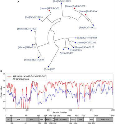 Frontiers Covid 19 Coronavirus Vaccine Design Using Reverse Vaccinology And Machine Learning Immunology