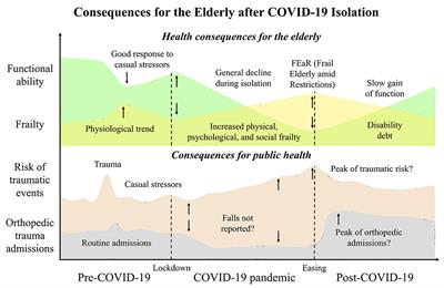 Frontiers  Consequences for the Elderly After COVID-19 Isolation