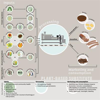 Frontiers | Considering Plant-Based Meat Substitutes and Cell-Based Meats: A Public Health and Food Systems Perspective Frontiers | Considering Plant-Based Meat Substitutes and Cell-Based Meats: A Public Health and Food Systems Perspective