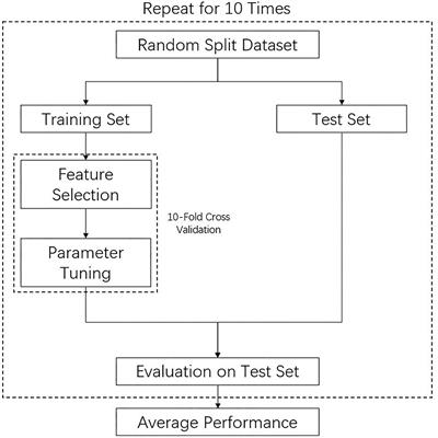 Frontiers | Rupture Risk Assessment for Cerebral Aneurysm Using ...