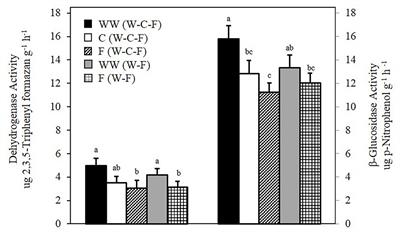 Frontiers Decline In Soil Microbial Abundance When Camelina Introduced Into A Monoculture Wheat System Microbiology