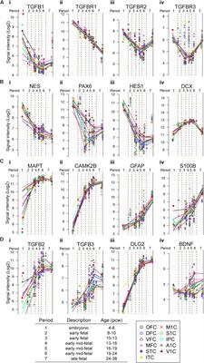 Tgf B1 Suppresses Proliferation And Induces Differentiation In Human Ipsc Neural In Vitro Models Cell And Developmental Biology Frontiers Tgf B1 Suppresses Proliferation And Induces Differentiation In Human Ipsc Neural In Vitro Models Cell And Developmental Biology Frontiers