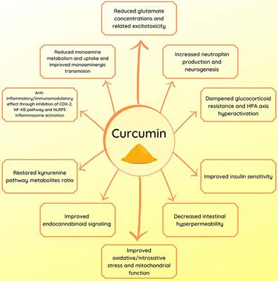 Frontiers Curcumin In Depression Potential Mechanisms Of Action And Current Evidence A Narrative Review Psychiatry